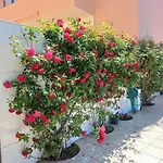 Casa Do Portao Azul - Dourada Appartamento *