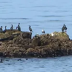 Appartamento Casa Do Portao Azul - Dourada Atouguia Da Baleia