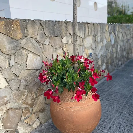 Апартаменты Casa Do Portao Azul - Dourada Атогиа-да-Балейя