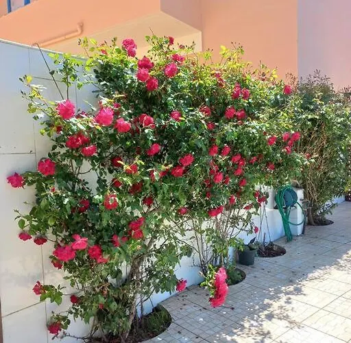 Casa Do Portao Azul - Dourada Apartment *