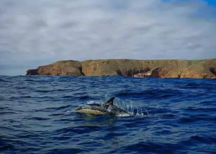 Apartment Casa Do Portao Azul - Dourada
