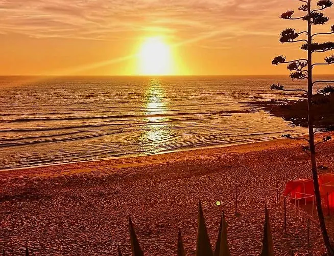 Casa Do Portao Azul - Dourada