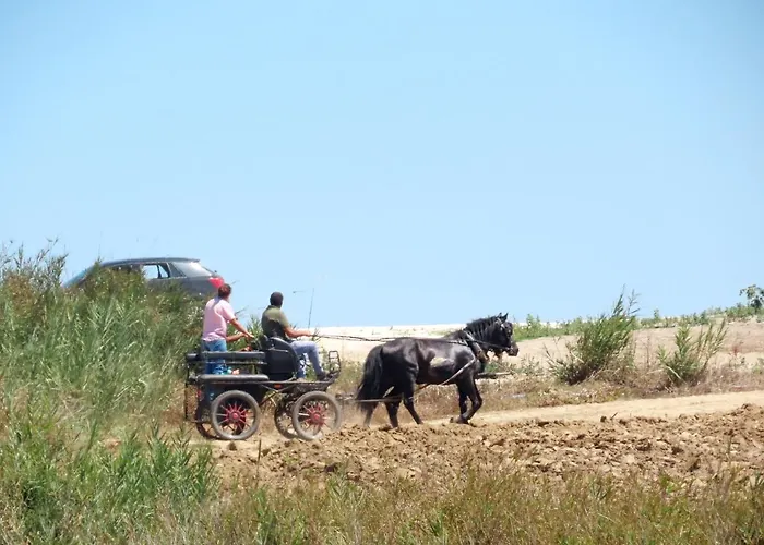 Casa Do Portao Azul - Dourada Apartment *