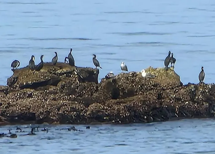 Apartment Casa Do Portao Azul - Dourada Atouguia Da Baleia